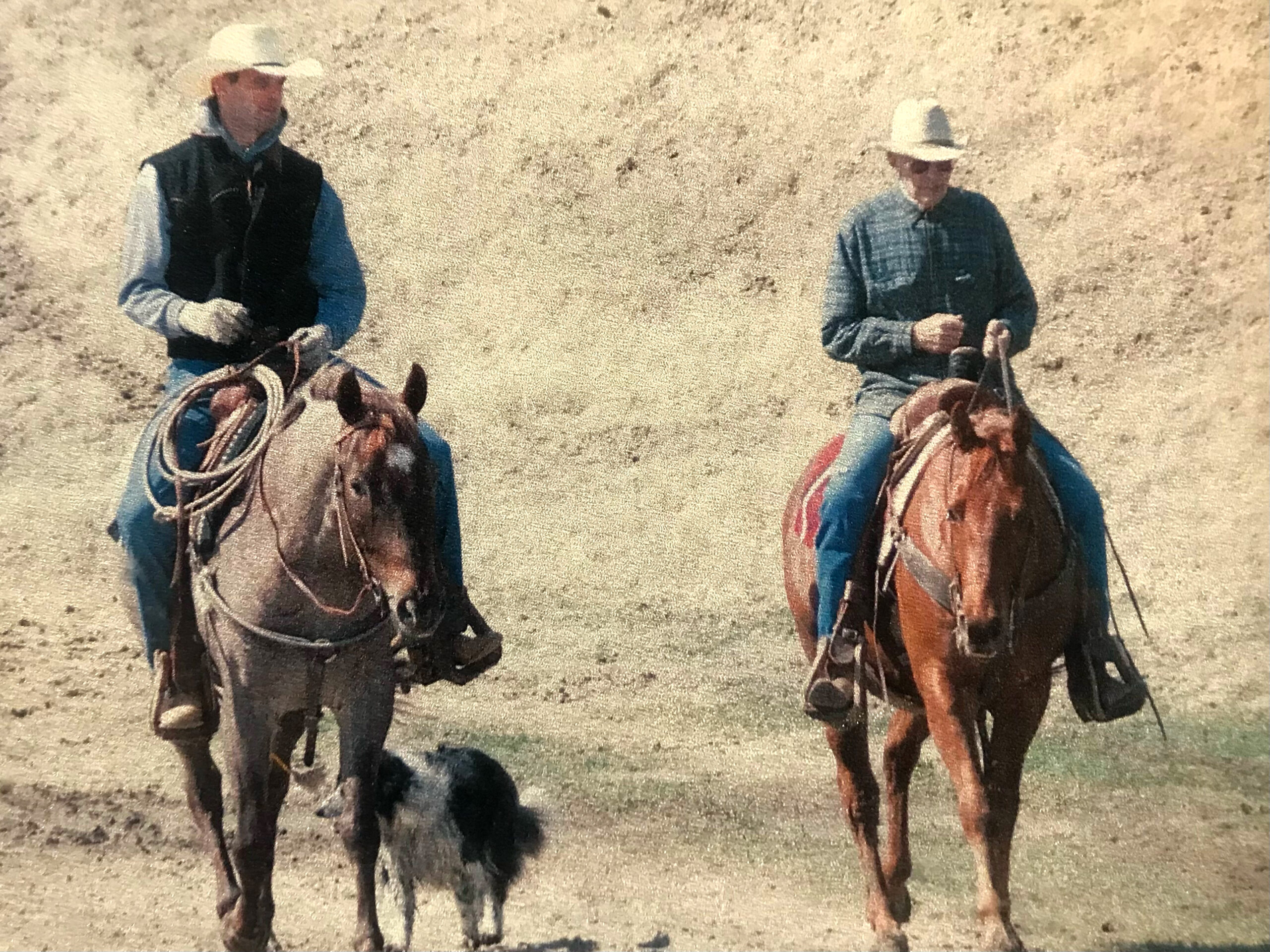 South Dakota's Elite Horse Sale Horses that are ridden by horsemen