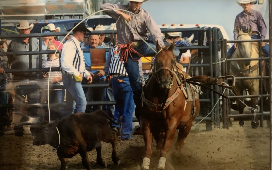 pic 8