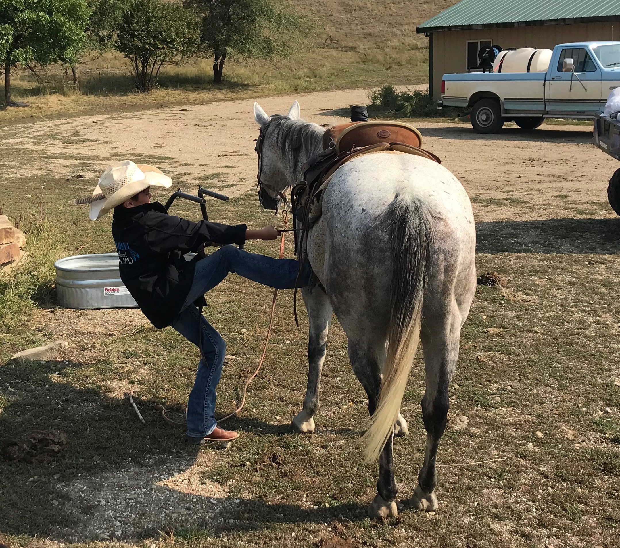 South Dakota's Elite Horse Sale Horses that are ridden by horsemen