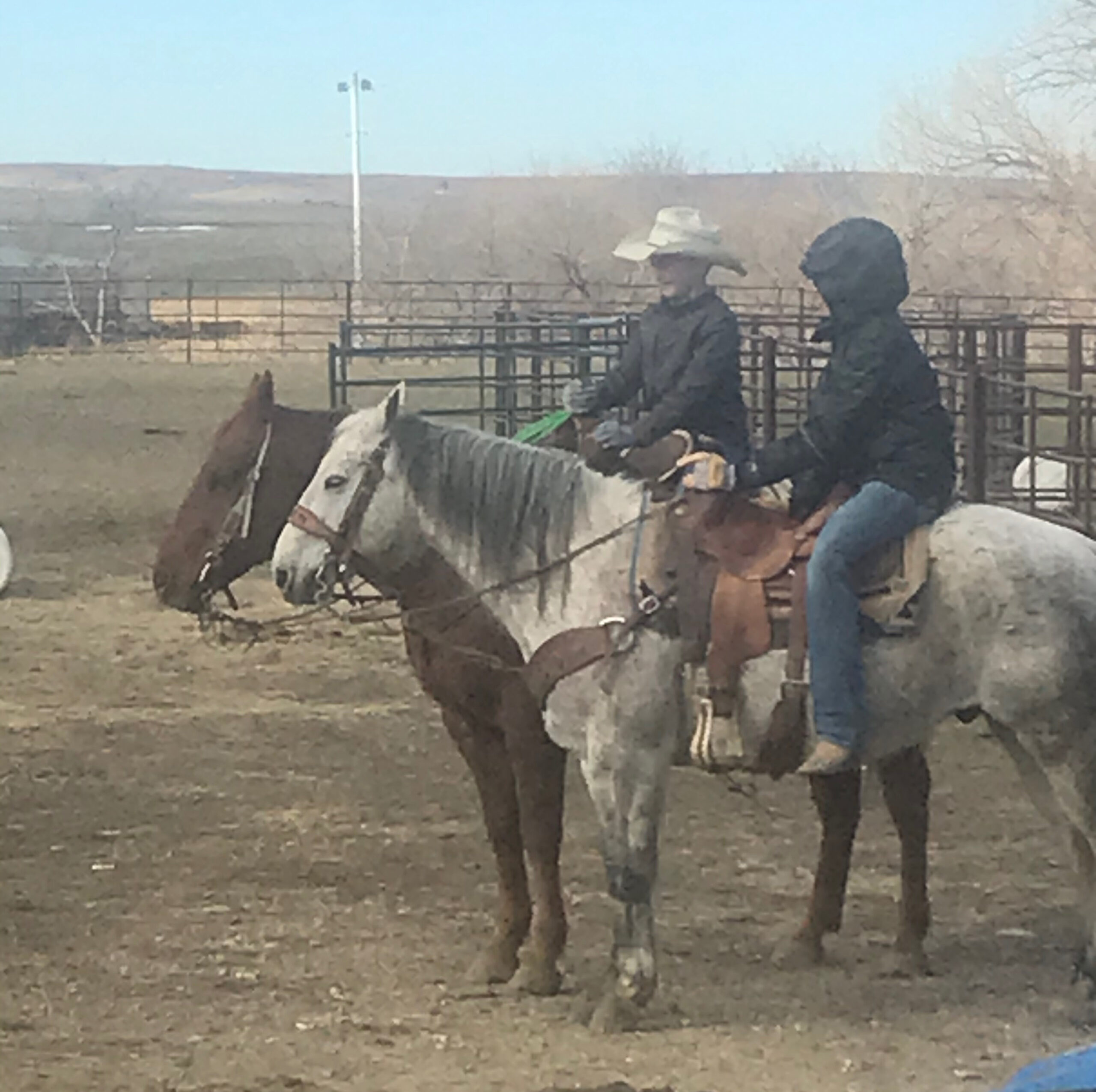 South Dakota's Elite Horse Sale Horses that are ridden by horsemen