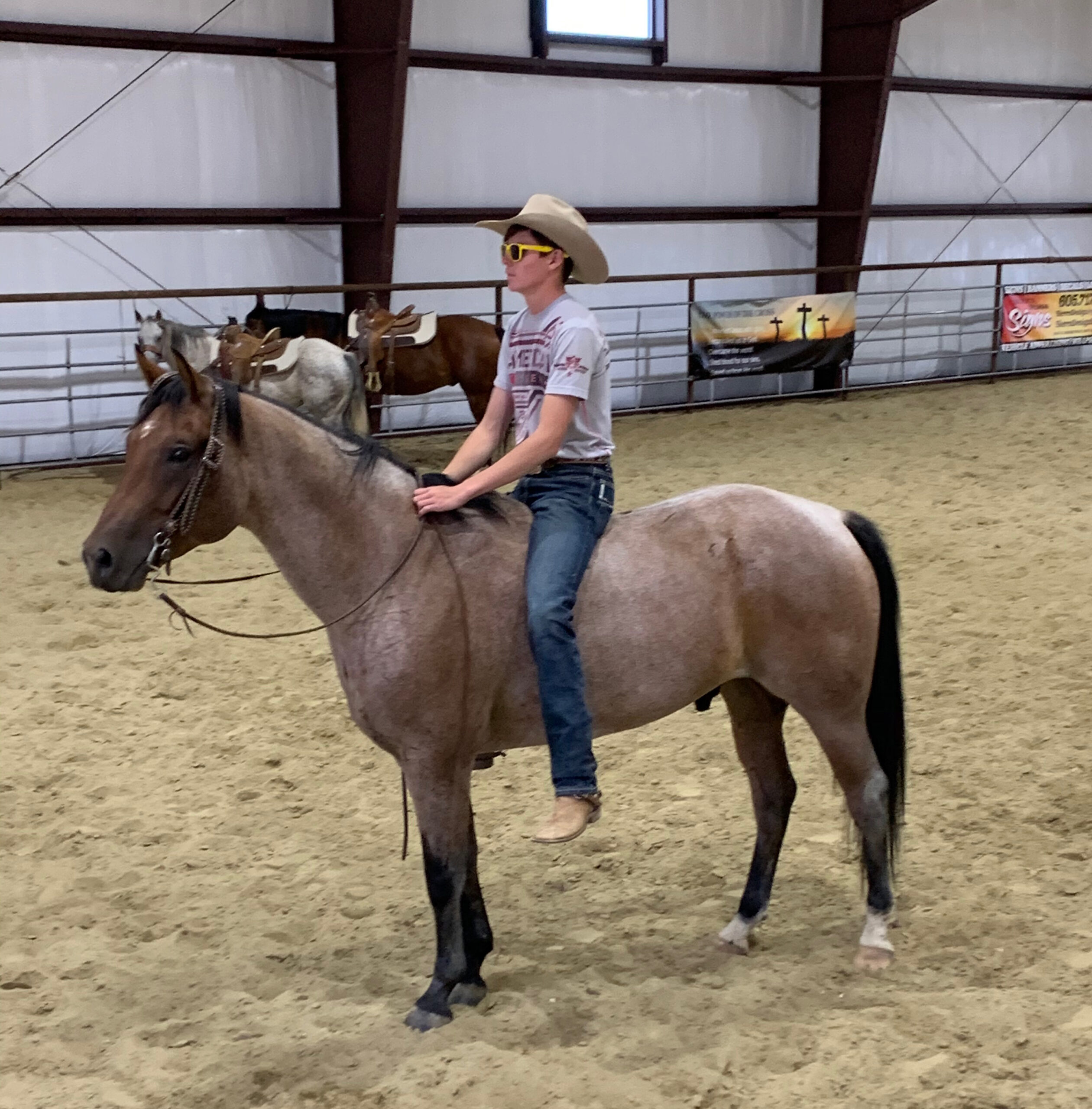 South Dakota's Elite Horse Sale Horses that are ridden by horsemen