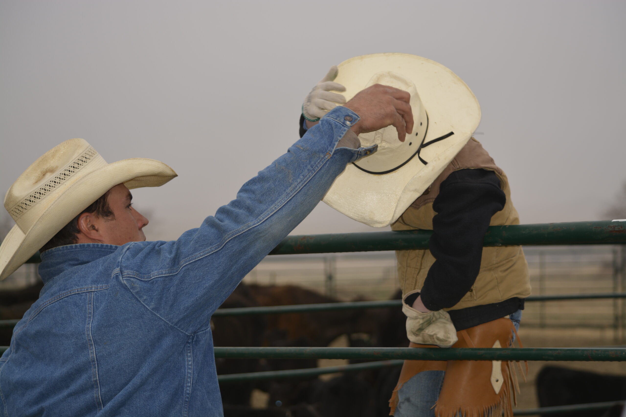 South Dakota's Elite Horse Sale Horses that are ridden by horsemen