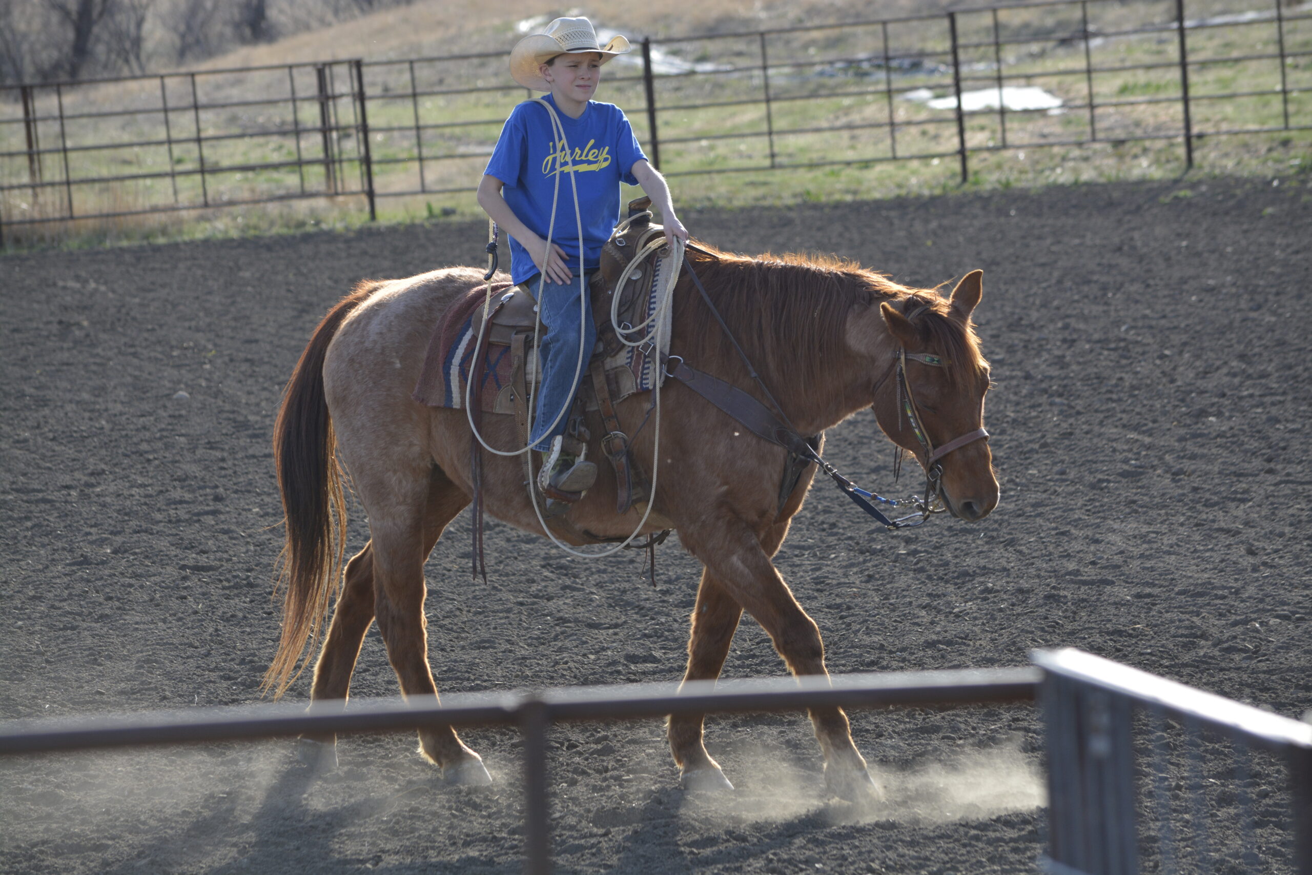 South Dakota's Elite Horse Sale Horses that are ridden by horsemen