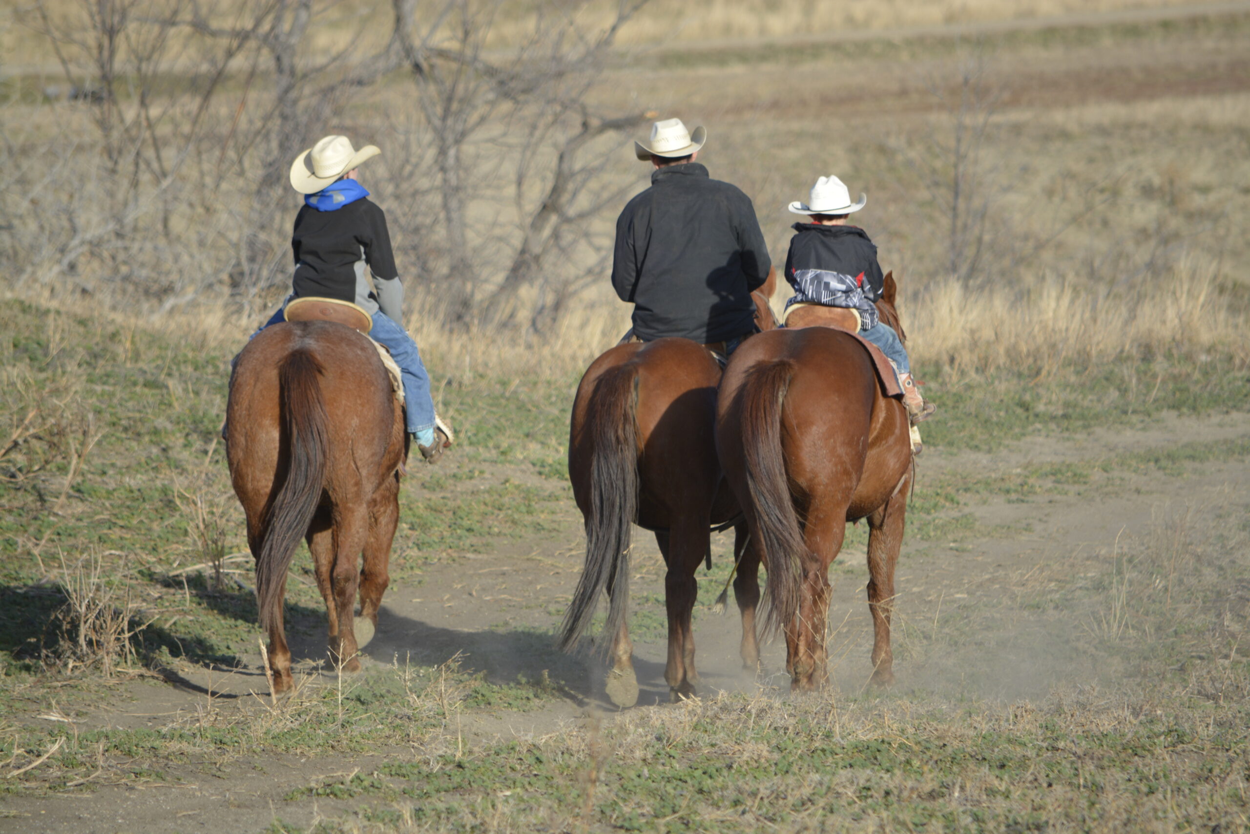 South Dakota's Elite Horse Sale Horses that are ridden by horsemen and selected by horseman.
