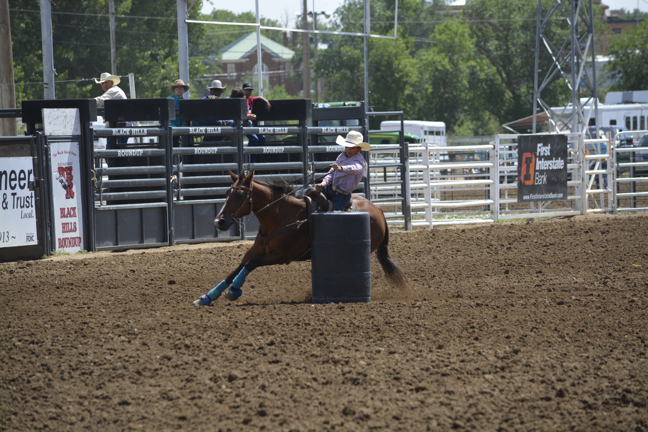 South Dakota's Elite Horse Sale Horses that are ridden by horsemen