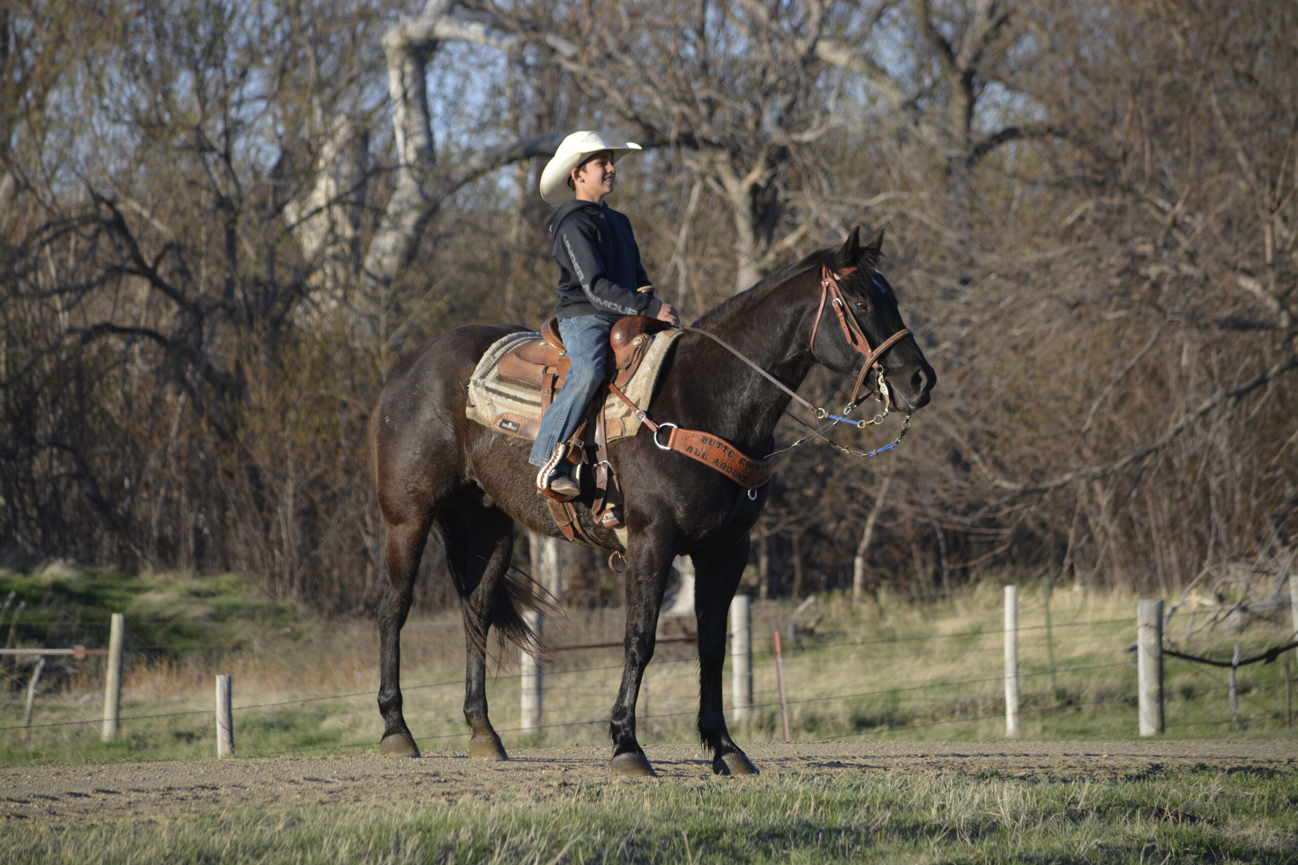 South Dakota's Elite Horse Sale Horses that are ridden by horsemen