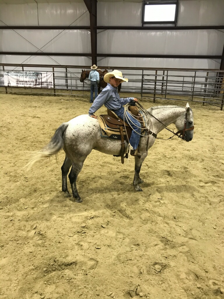 South Dakota's Elite Horse Sale Horses that are ridden by horsemen